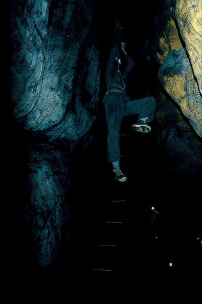 Dennis Macdonald   Boomslang