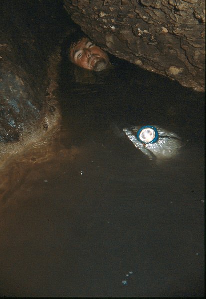 Charles   Onmeetbare duck