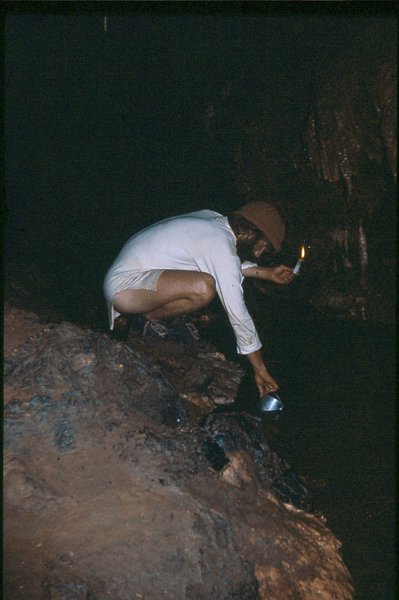 Apple   Efflux Camp Wee Willie Winkie (2)