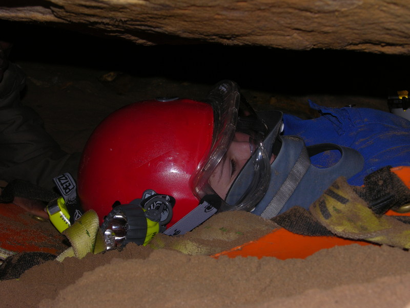 Clovelly Cave Amy with collar before being packaged 5190