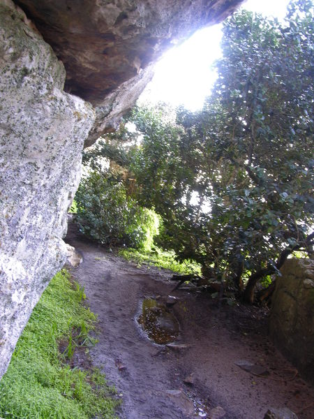 Clovelly Cave rescue practice in progress DSCN5251