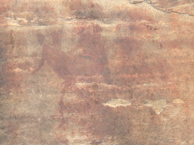 Whitchers Cave paintings in main cave DSC 6791