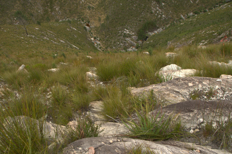 Whitchers Cave view down into valley from near cave DSC 6778